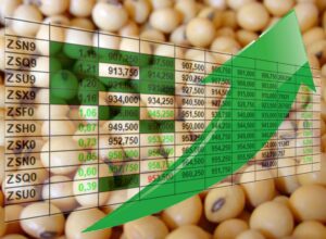Preços da soja surpreendem neste começo de julho; veja cotações